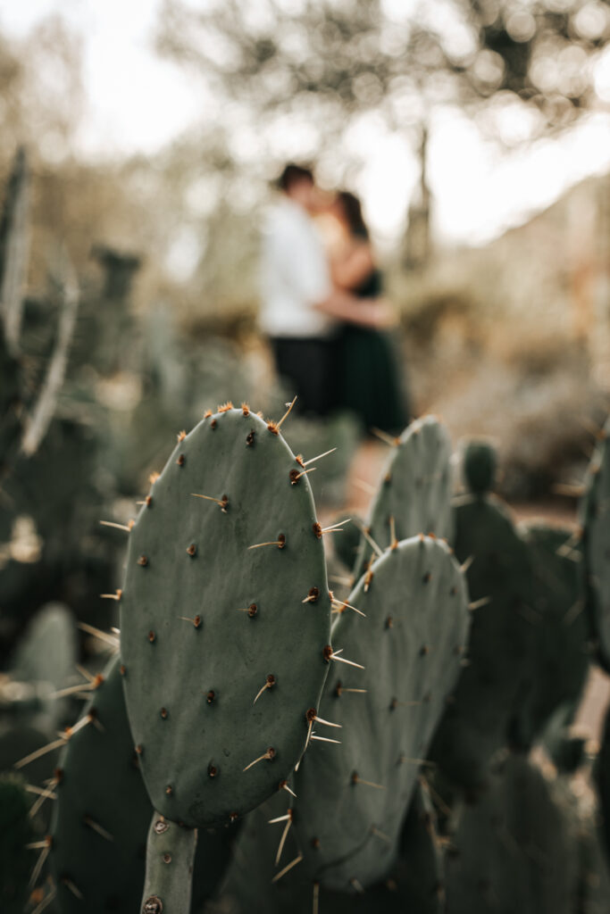 Desert Botanical Gardens Engagement Session